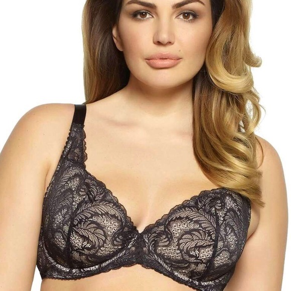 NWT 32D Paramour Bra + Bonus S Fantasie Panty - Picture 2 of 6